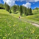 Durch malerische Blumenwiesen zur Vaciara Hütte