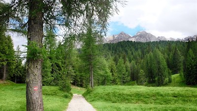 Vom Tre-Croci-Pass führt der Weg zunächst nahezu eben in Richtung Sorapis-See