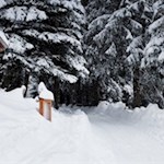 Der Weg zu den Stoanernen Mandln führt zunächst durch den Wald