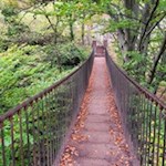Über die Friedensbrücke gelangen wir in die Rastenbachklamm