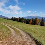 Durch weite Wiesen zum Berggasthaus Briol