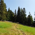 Die Wanderung auf die Platte führt durch Wiesen und Wälder