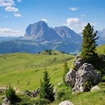 Die Wanderung auf die Seceda führt durch aussichtsreiche Almwiesen