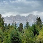 Unser Blick schweift zum sagenumwobenen Rosengarten