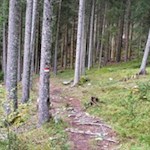 Der Kehlburgweg ist gut ausgeschildert und markiert