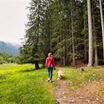 Wandern mit Hund zum Pfitscher Wasserfall