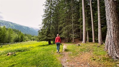 Wandern mit Hund zum Pfitscher Wasserfall