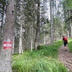 Anstieg zu den Rotwandwiesen