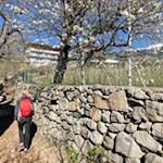 Bei den letzten Häusern zweigt der Wanderweg nach Elvas ab