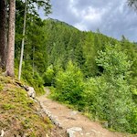 Sanft bahnt sich der Steig seinen Weg zum Luttacher Wasserfall