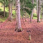 Zahlreiche Klettergerüste laden zum Kraxeln ein