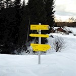 Von der Sattelbergalm kann man noch den Sattelberg erklimmen