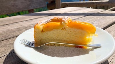 Apfelkuchen der Laureiner Alm