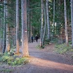 Auf dem Ritten fand Freud Inspiration für sein Werk "Totem und Tabu"