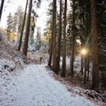 Kreuzweg nach St. Andrä