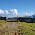 Auf breiten Almwegen nähern wir uns dem Campill