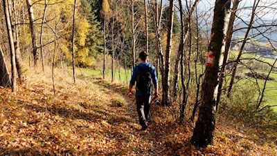 Herbstwanderung in und um Rodeneck
