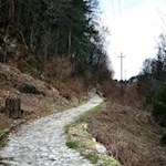 Über steingepflasterte Wege zum Ledrosee