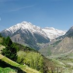 "Frühling lässt sein blaues Band / wieder flattern durch die Lüfte..." (Mörike)