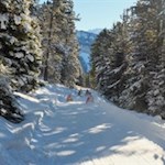 Auf flotten Kufen zurück ins Tal