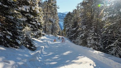 Auf flotten Kufen zurück ins Tal