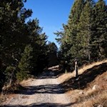 Der letzte Streckenabschnitt zur Raschötzhütte führt über einen breiten Weg