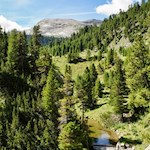 Attraverso il Vallon de Fanes fino al rifugio Fanes