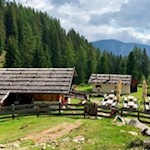 Puntleider-Seealm-unterhalb-des-Puntleider-Sees