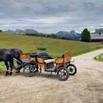 Wer möchte, kann auch mit der Pferdekutsche zur Rauchhütte fahren