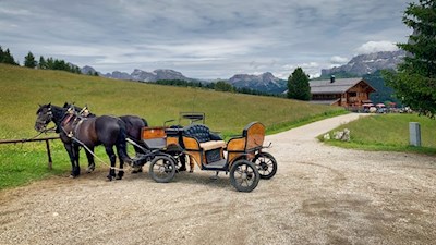 Wer möchte, kann auch mit der Pferdekutsche zur Rauchhütte fahren