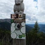 Längs des Weges gewähren anregende Infotafeln Einblicke in Südtirols Tierwelt