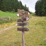 Die Wanderung zur Leach- und Schäferalm ist gut ausgeschildert