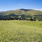 Neben uns erhebt sich der Gabler