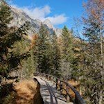 Auf dem Naturerlebnispfad um den Antholzer See