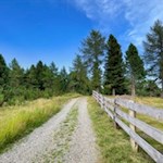 Durch Wiesen und Wälder zur Rinderplatzhütte