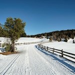 Sanft zieht sich der Winterwanderweg zur idyllisch gelegenen Ronerhütte