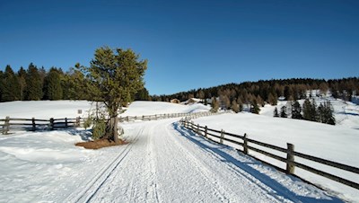 Sanft zieht sich der Winterwanderweg zur idyllisch gelegenen Ronerhütte