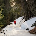 Durch den trauten Wald in Richtung Kreuztal