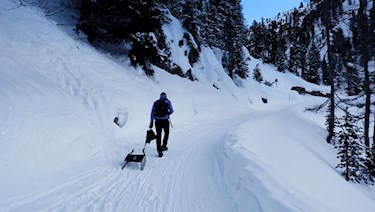 Rodelweg Staller Sattel