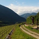 Auf dem Rückweg nach Brixen laden mehrere Bänke zum Verweilen ein