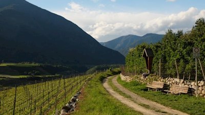 Auf dem Rückweg nach Brixen laden mehrere Bänke zum Verweilen ein