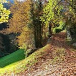 Durch raschelndes Kastanienlaub nach Barbian