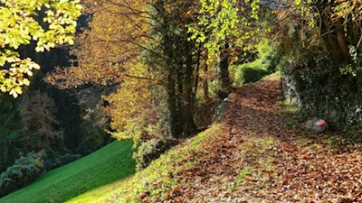 Durch raschelndes Kastanienlaub nach Barbian