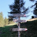 Zunächst folgt man dem Weg Nr. 7 in Richtung Sunnolm