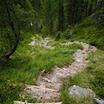 Auf dem recht steil abfallenden Waldweg ins Langental