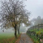 "Der Herbst ist immer unsere beste Zeit" (J. W. von Goethe)