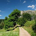 Durch sanfte Wiesen zum Schloss Prösels