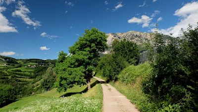 Durch sanfte Wiesen zum Schloss Prösels