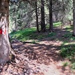 Der Anstieg auf den Lutterkopf ist bestens markiert