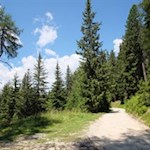 Im angenehmen Anstieg führt die Wanderung durch den Wald